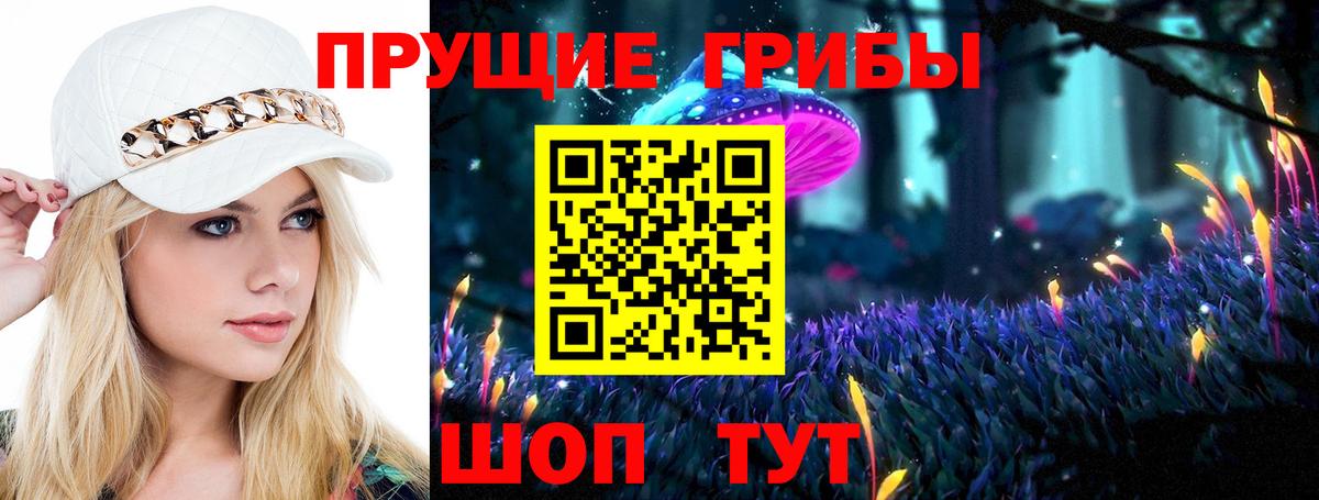 Новоалтайск  Галлюциногенные грибы Psilocybine cubensis  Вход с VPN  Псилоцибиновые грибы GOLDEN TEACHER 
